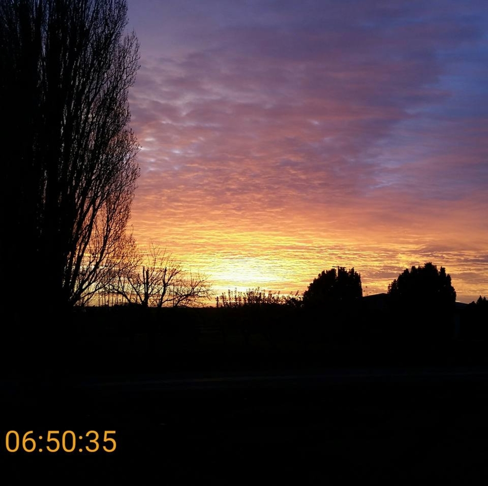 Meet your Posher, Carolyn